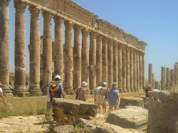 Apamea 5